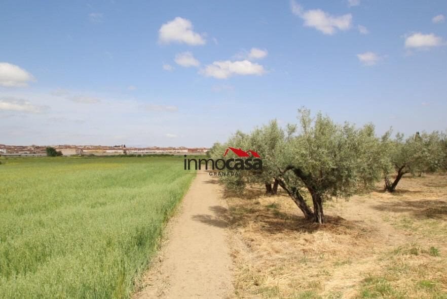 Ubebygd land til salgs i Las Gabias - € 45 000 (Ref: 10047474)