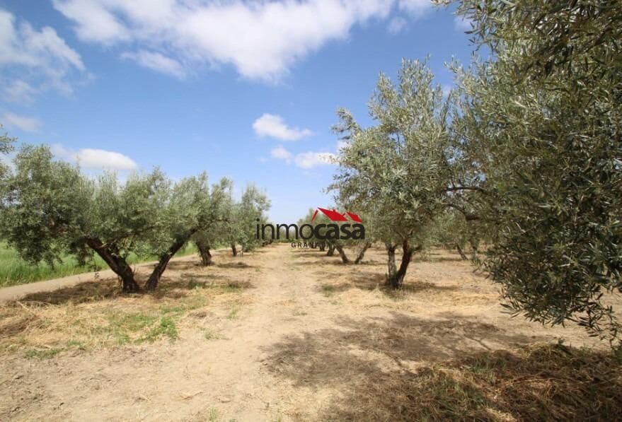 Ubebygd land til salgs i Las Gabias - € 45 000 (Ref: 10047474)