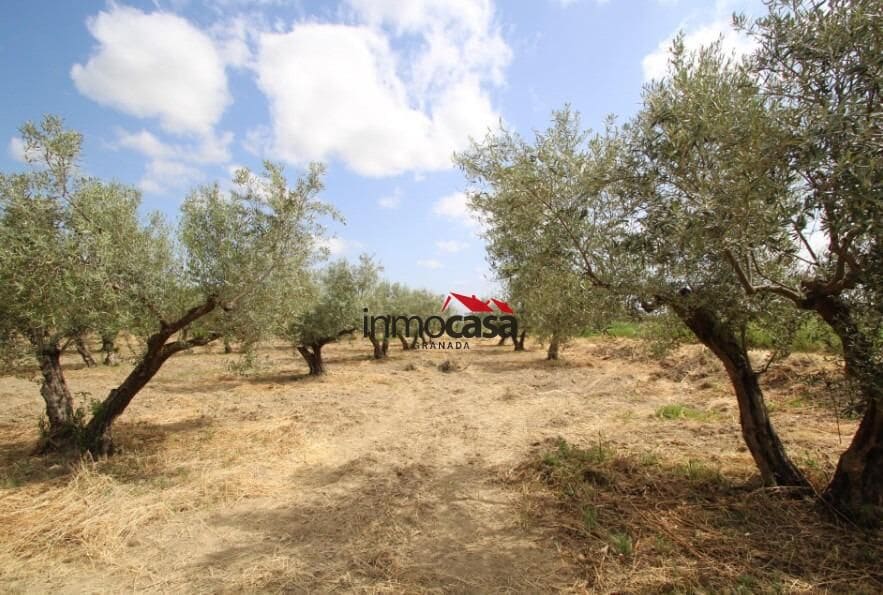 Ubebygd land til salgs i Las Gabias - € 45 000 (Ref: 10047474)