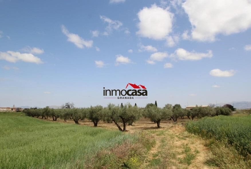 Terre non Aménagée à vendre à Las Gabias - 45 000 € (Ref: 10047474)
