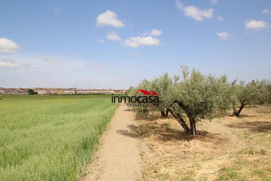 Terre non Aménagée à vendre à Las Gabias - 45 000 € (Ref: 10047474)