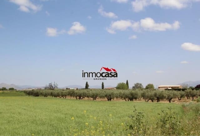 Terreno Não Urbanizado para venda em Las Gabias - 45 000 € (Ref: 10047474)