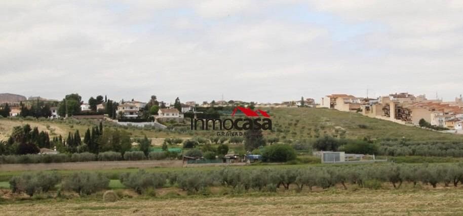 Terre non Aménagée à vendre à Las Gabias - 45 000 € (Ref: 10047474)