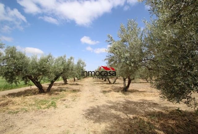 Terreno/Finca Rústica en Las Gabias en venta - 45.000 € (Ref: 10047474)