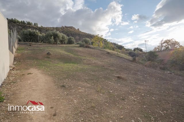 Bauplatz zu verkaufen in Píñar - 24.900 € (Ref: 10177350)