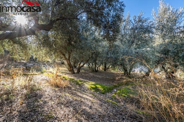 Finca/Landehus til salg i Güéjar Sierra - € 59.900 (Ref: 8162035)