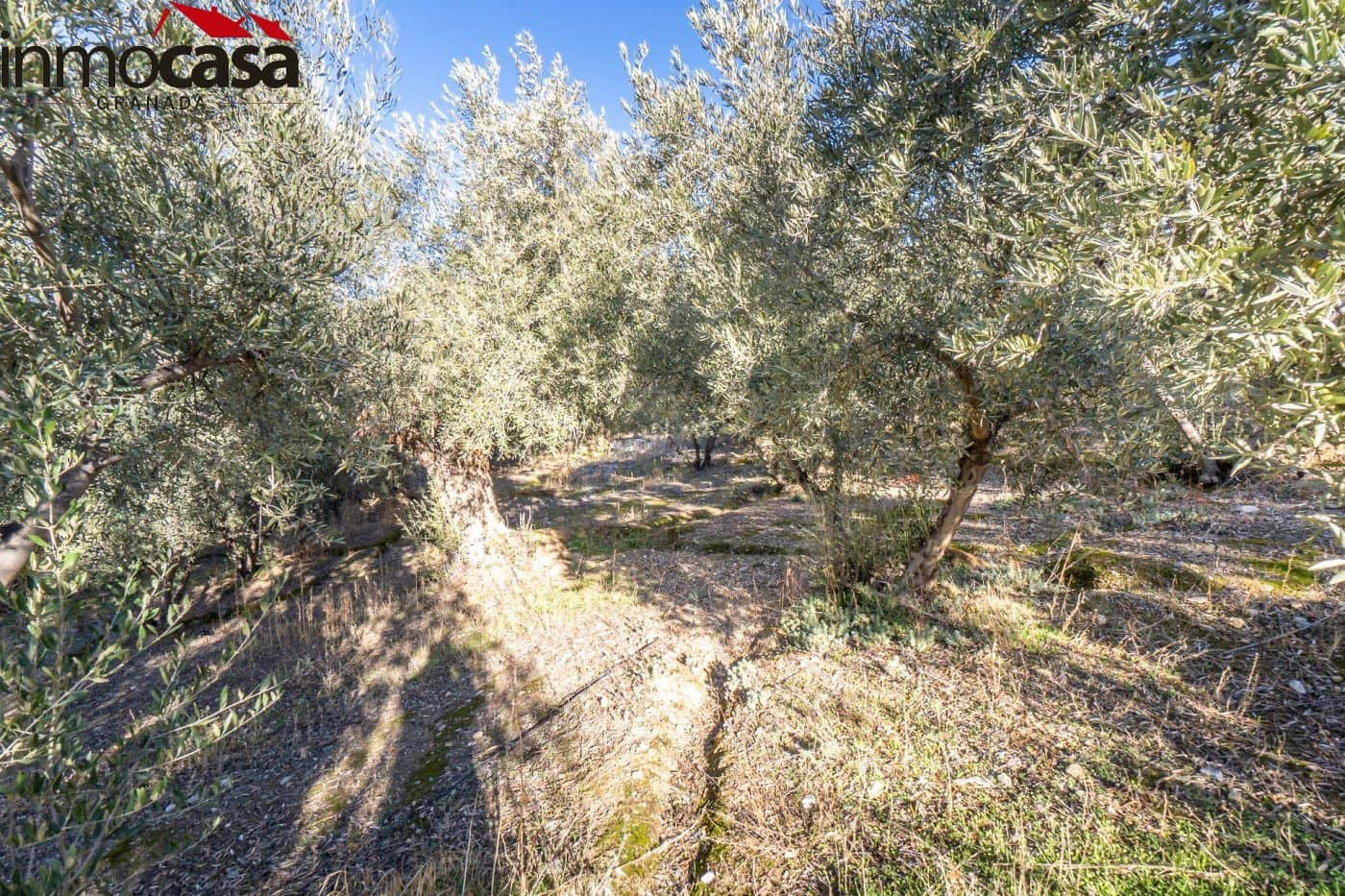 Finca/Landehus til salg i Guejar Sierra - € 59.900 (Ref: 8162035)