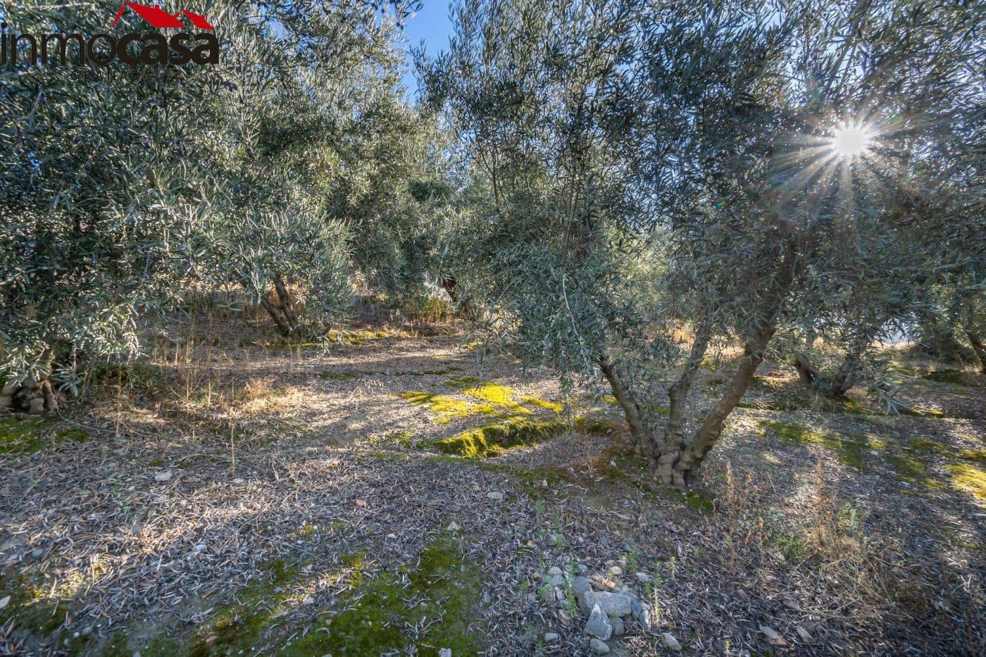 Finca/Landehus til salg i Guejar Sierra - € 59.900 (Ref: 8162035)