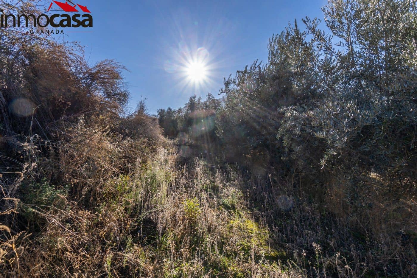 Finca/Landehus til salg i Guejar Sierra - € 59.900 (Ref: 8162035)