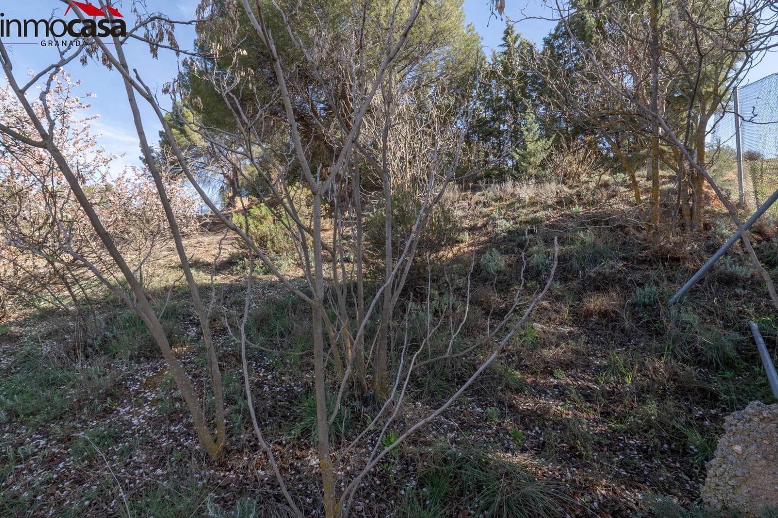 Byggegrund til salg i Otura - € 59.900 (Ref: 8162113)