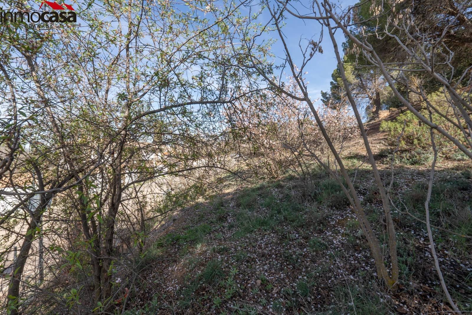 Byggegrund til salg i Otura - € 59.900 (Ref: 8162113)