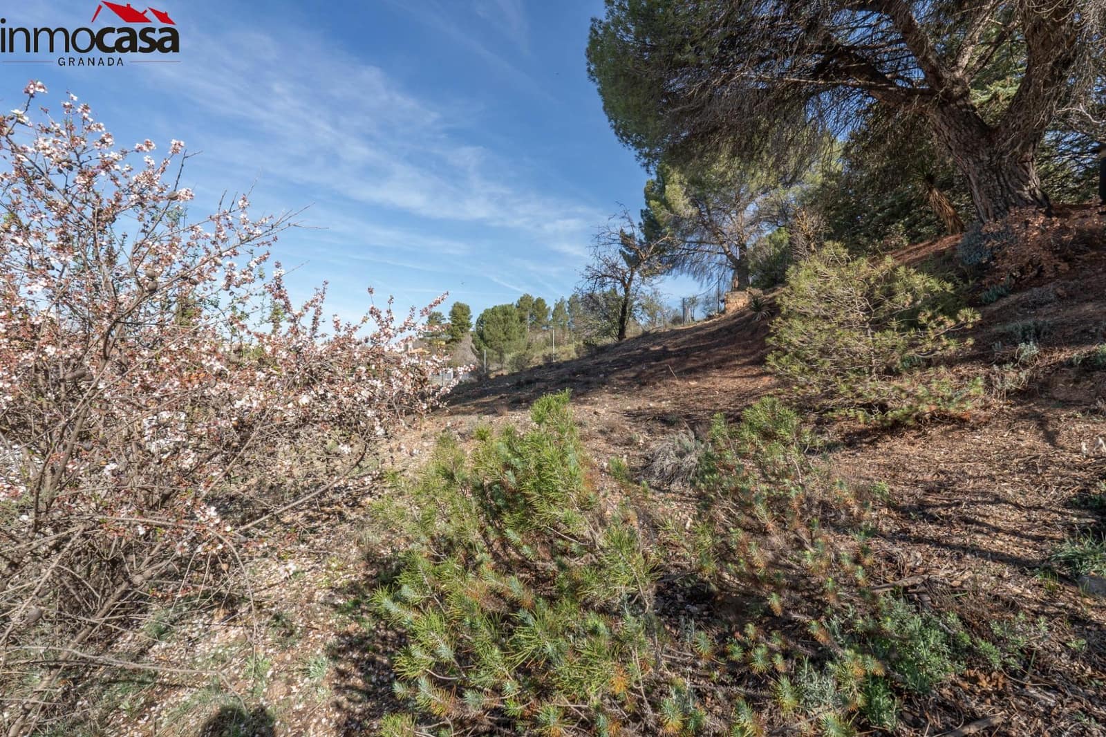 Byggegrund til salg i Otura - € 59.900 (Ref: 8162113)