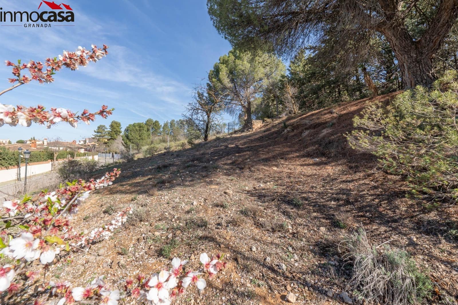 Byggegrund til salg i Otura - € 59.900 (Ref: 8162113)