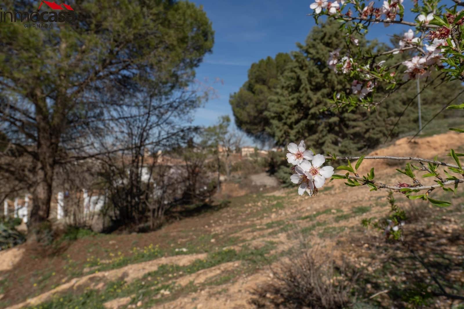 Byggegrund til salg i Otura - € 59.900 (Ref: 8162113)