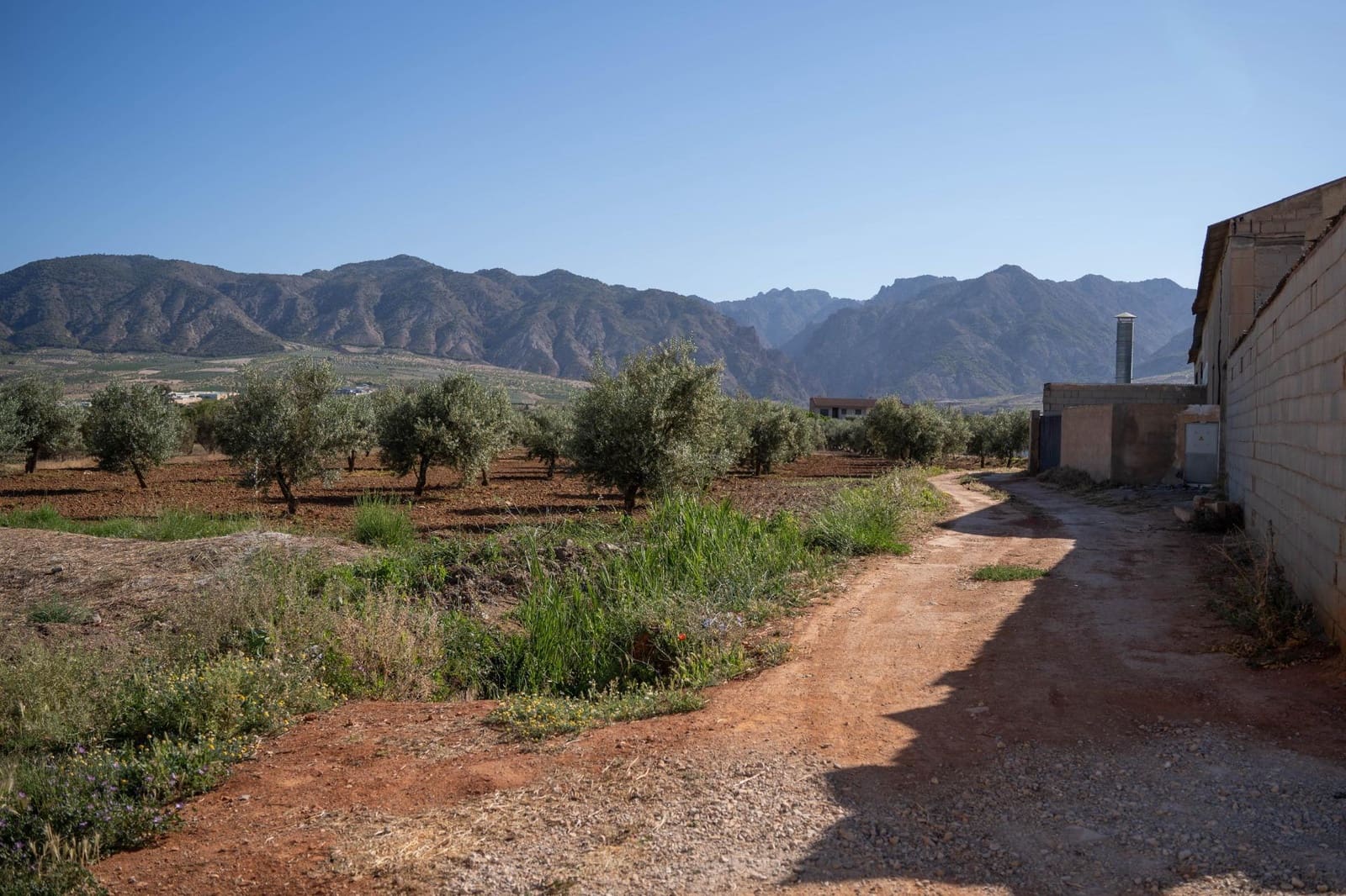 Byggegrund til salg i Cozvijar - € 30.000 (Ref: 8195278)