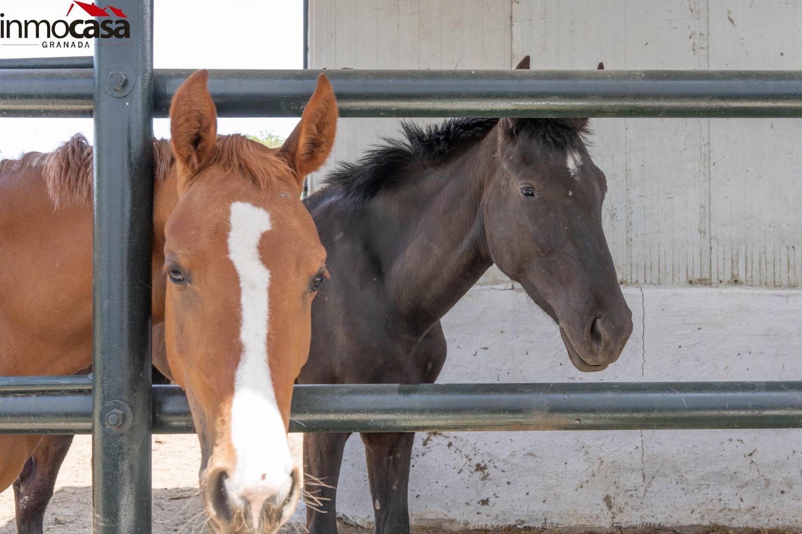 12 soverom Villa til salgs i Santa Fe med svømmebasseng - € 1 650 000 (Ref: 8298130)