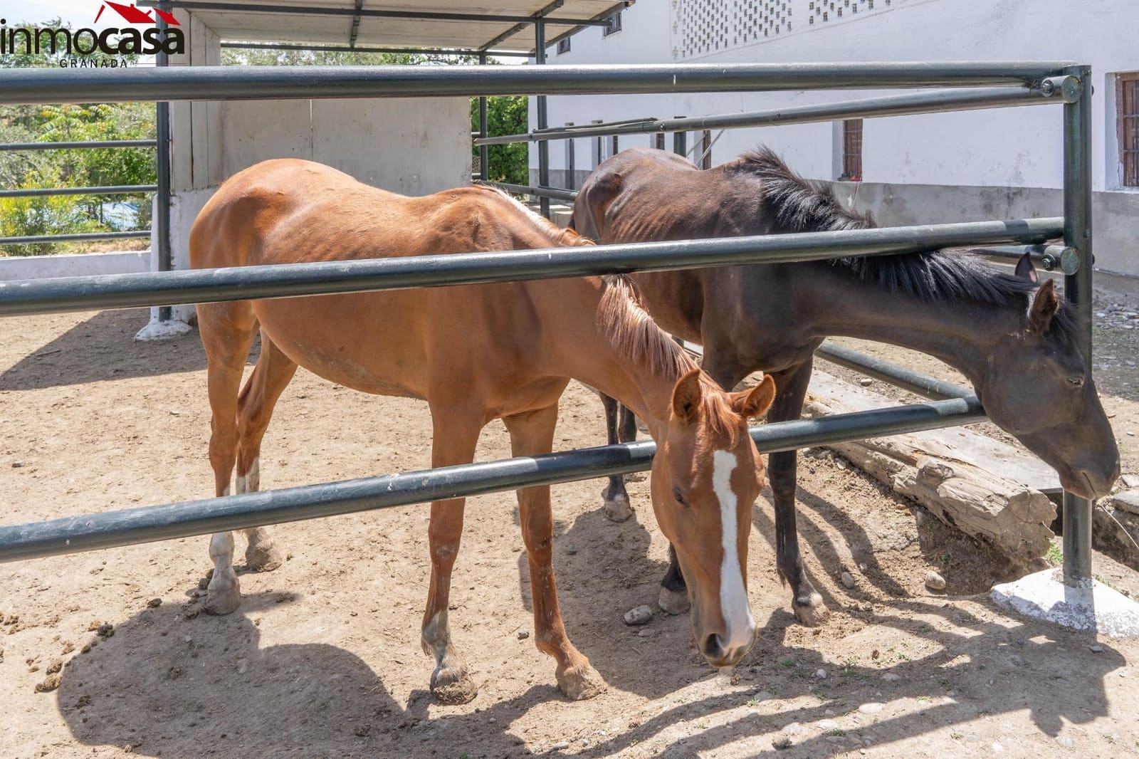 12 soverom Villa til salgs i Santa Fe med svømmebasseng - € 1 650 000 (Ref: 8298130)