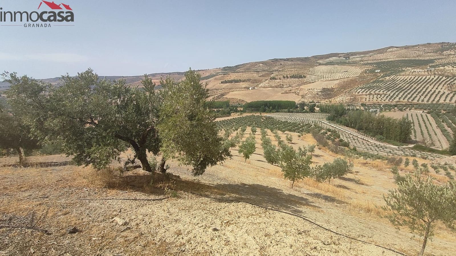 Grunde uden byggetilladelser til salg i Cacin - € 298.000 (Ref: 8419736)