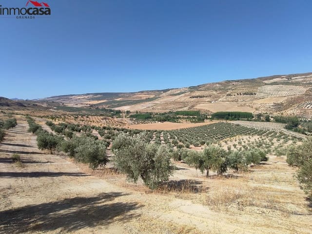 Grunde uden byggetilladelser til salg i Cacín - € 298.000 (Ref: 8419736)