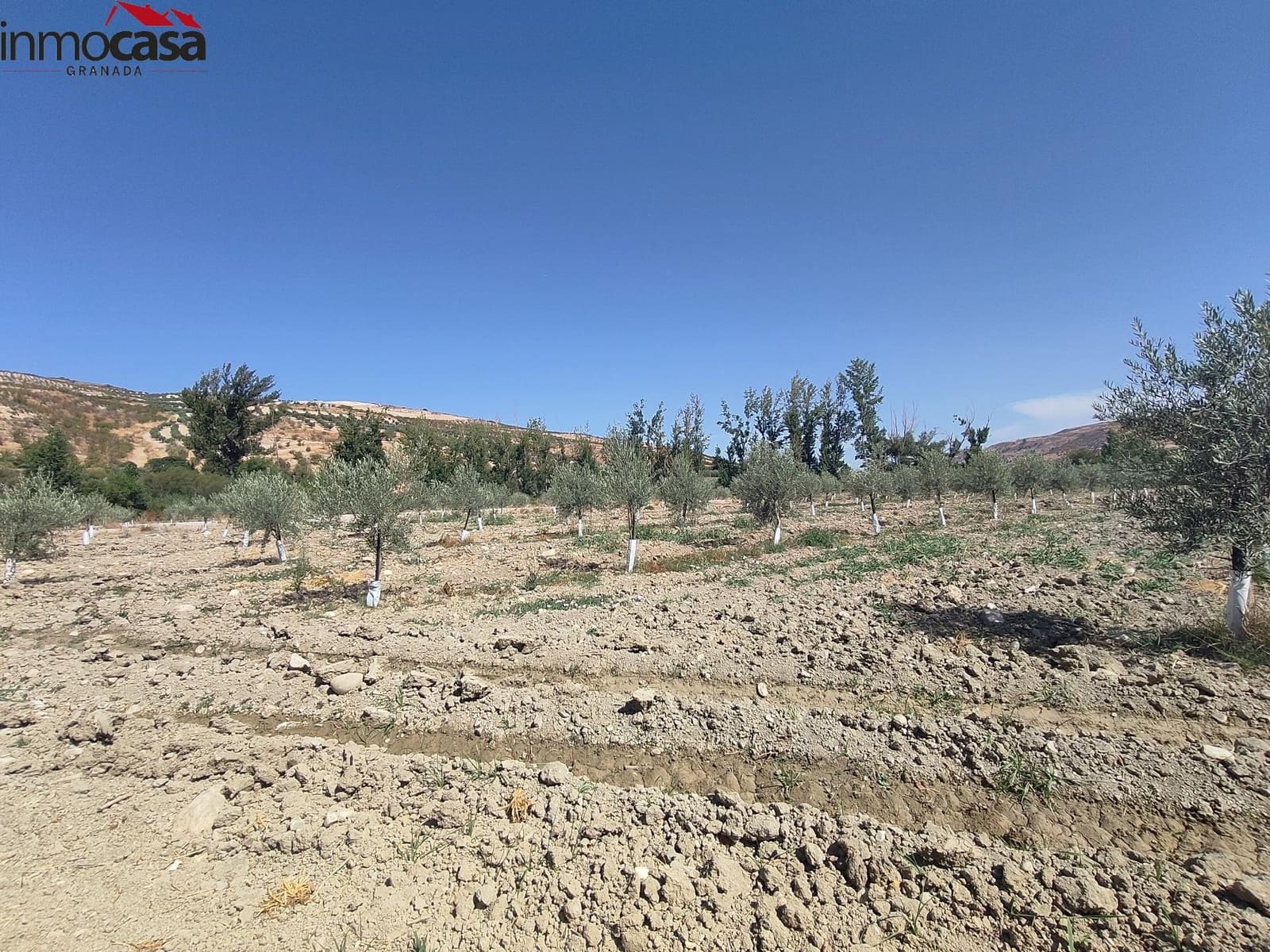 Grunde uden byggetilladelser til salg i Cacin - € 298.000 (Ref: 8419736)