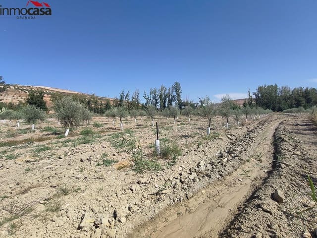 Grunde uden byggetilladelser til salg i Cacín - € 298.000 (Ref: 8419736)