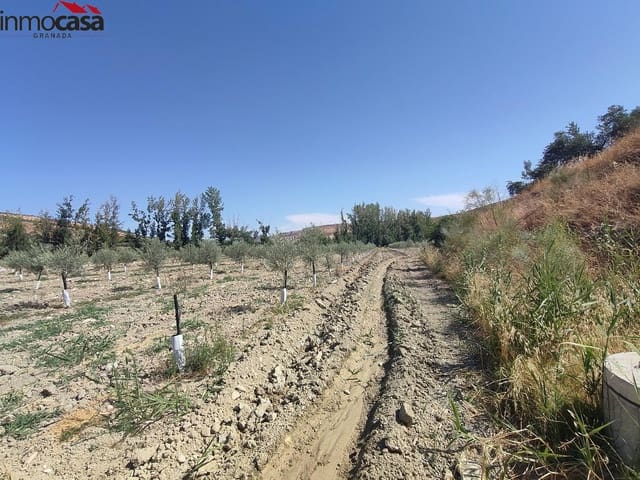 Grunde uden byggetilladelser til salg i Cacín - € 298.000 (Ref: 8419736)