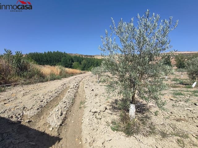 Grunde uden byggetilladelser til salg i Cacín - € 298.000 (Ref: 8419736)