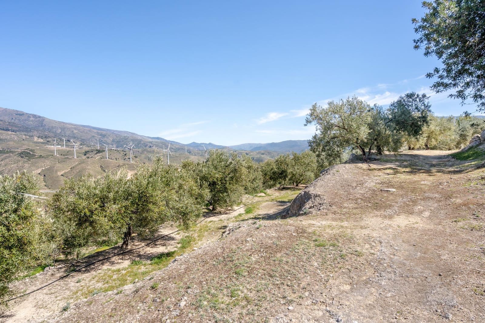 Grond te koop in Pinos del Valle - € 35.000 (Ref: 8428730)
