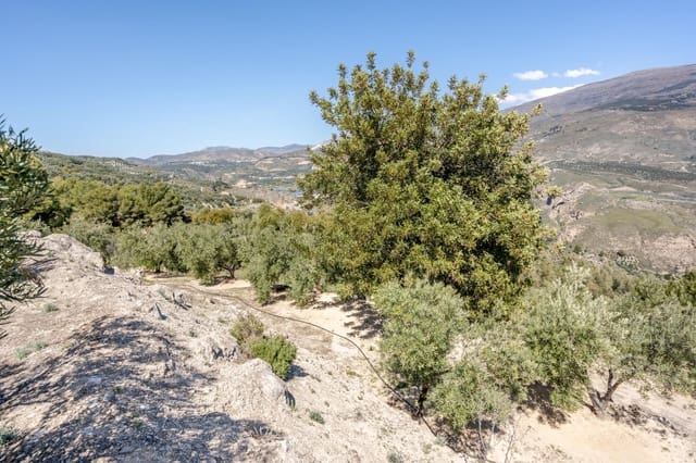 Ubebygd land til salgs i Pinos del Valle, El Pinar - € 35 000 (Ref: 8428730)