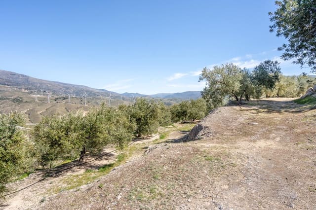 Ubebygd land til salgs i Pinos del Valle, El Pinar - € 35 000 (Ref: 8428730)