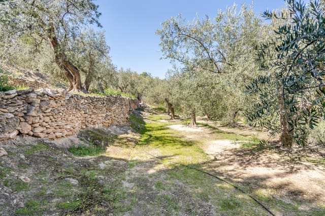 Ubebygd land til salgs i Pinos del Valle, El Pinar - € 35 000 (Ref: 8428730)