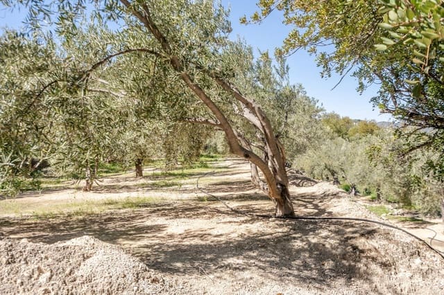 Ubebygd land til salgs i Pinos del Valle, El Pinar - € 35 000 (Ref: 8428730)