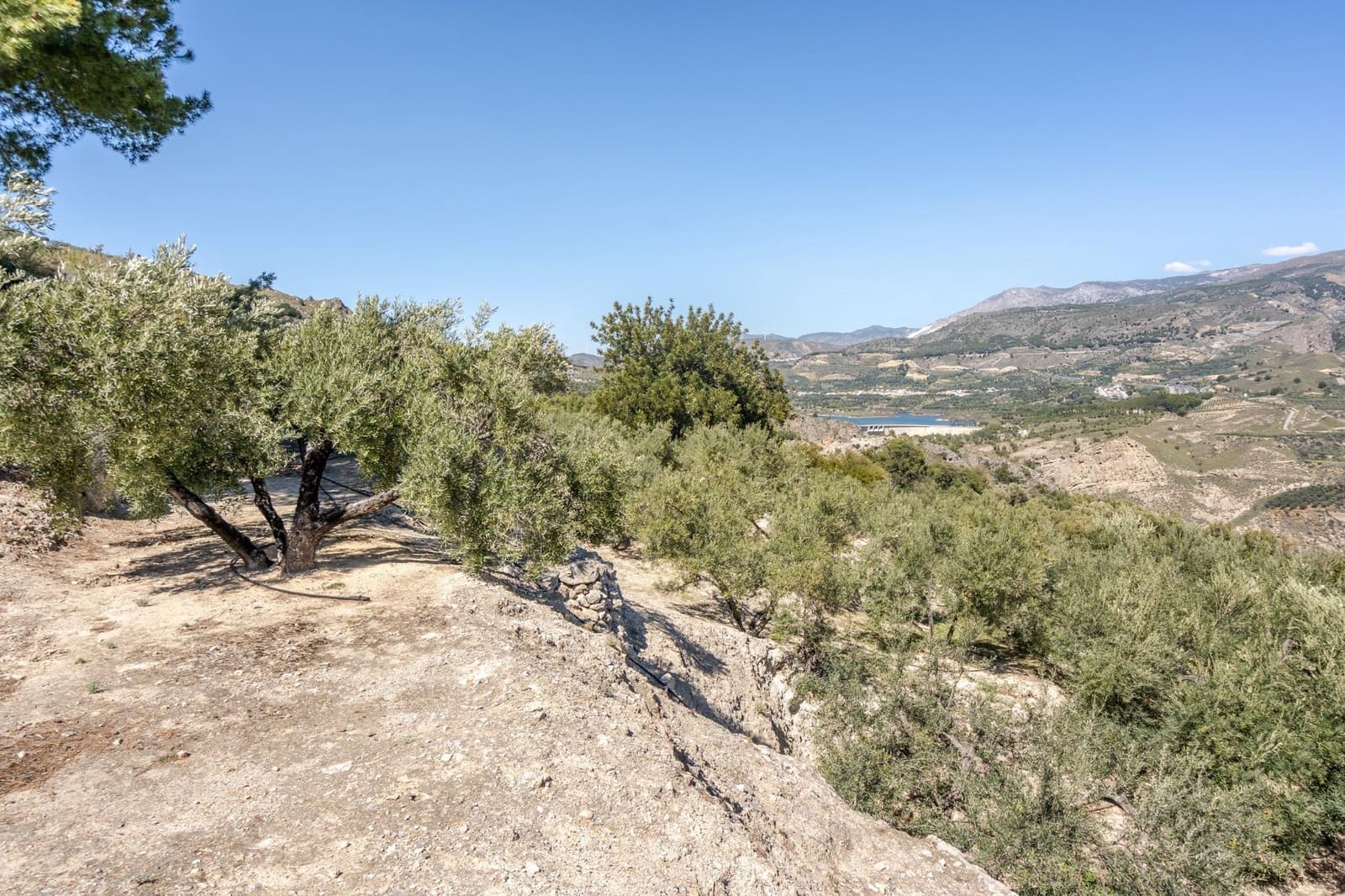 Undeveloped Land for sale in Pinos del Valle - € 30,000 (Ref: 8428730)