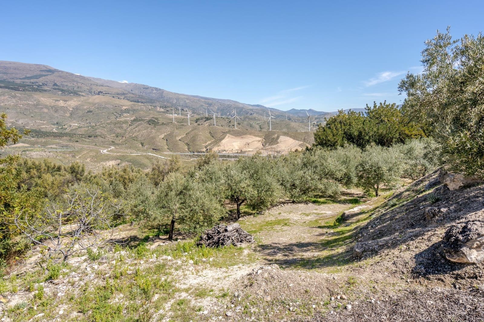Undeveloped Land for sale in Pinos del Valle - € 30,000 (Ref: 8428730)