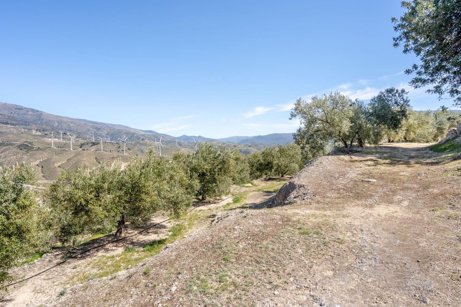 Undeveloped Land for sale in Pinos del Valle - € 30,000 (Ref: 8428730)