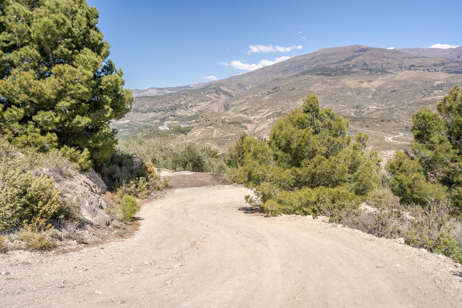 Undeveloped Land for sale in Pinos del Valle - € 30,000 (Ref: 8428730)
