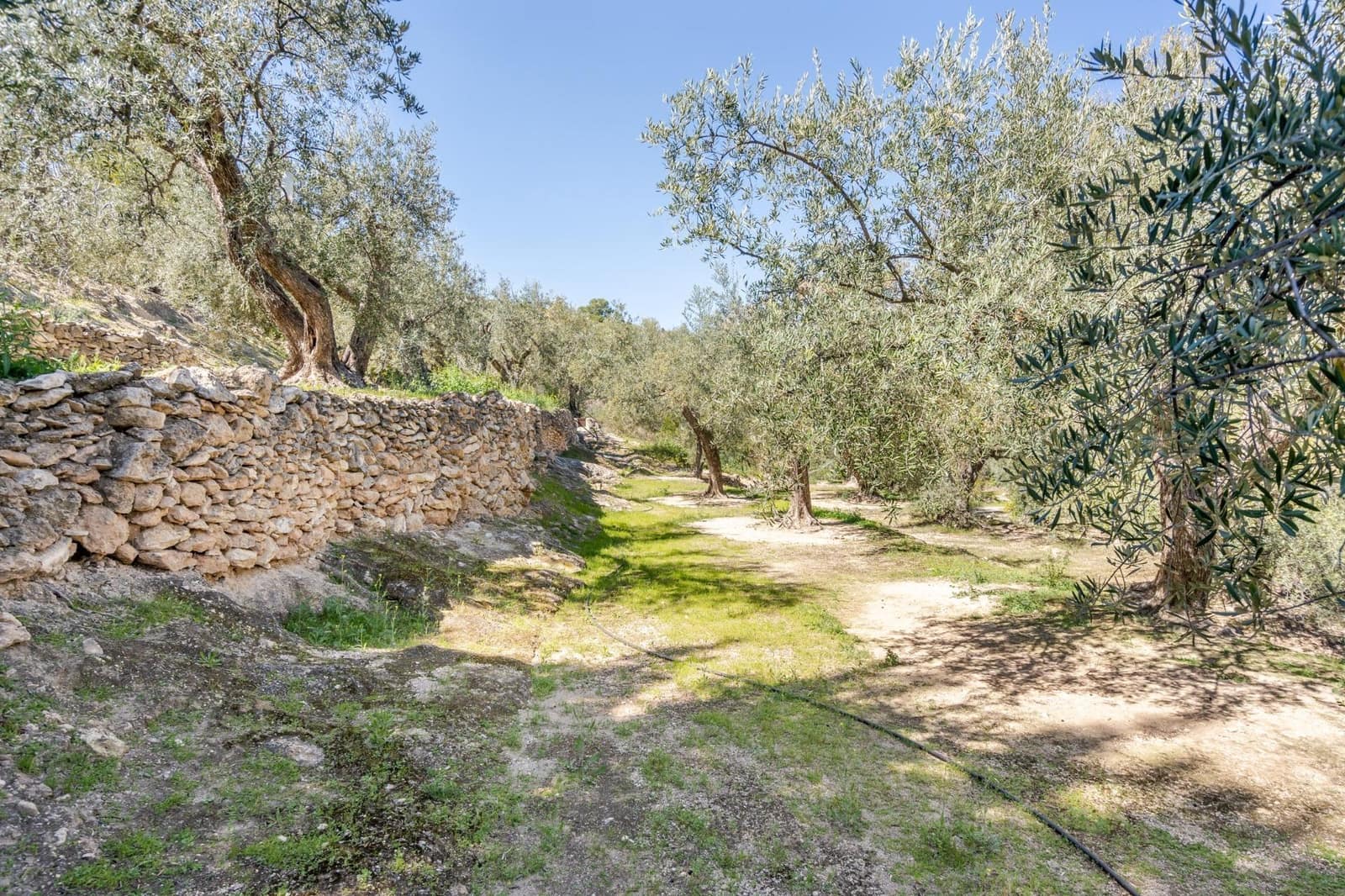 Undeveloped Land for sale in Pinos del Valle - € 30,000 (Ref: 8428730)