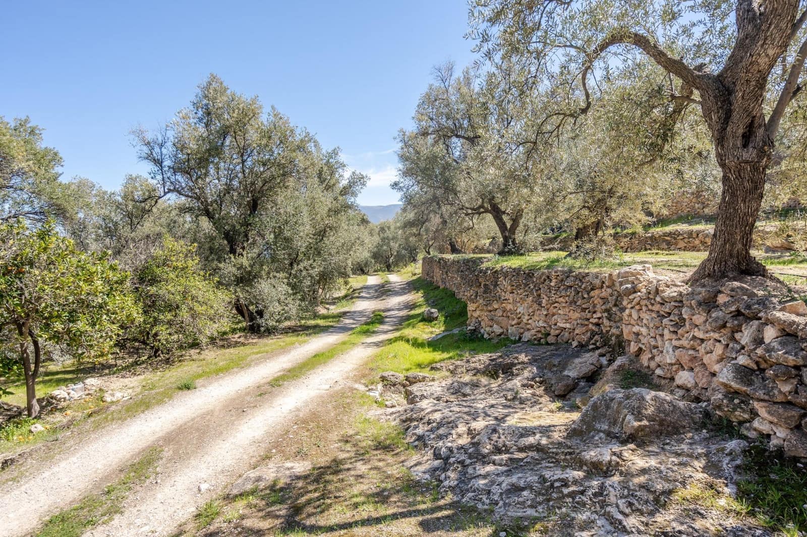 Undeveloped Land for sale in Pinos del Valle - € 30,000 (Ref: 8428730)