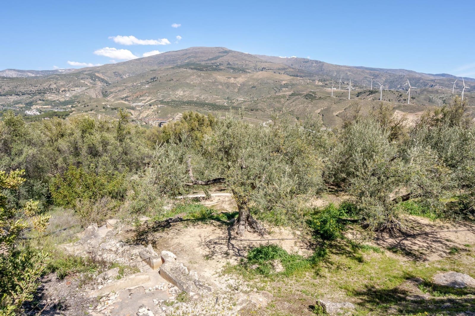 Undeveloped Land for sale in Pinos del Valle - € 30,000 (Ref: 8428730)