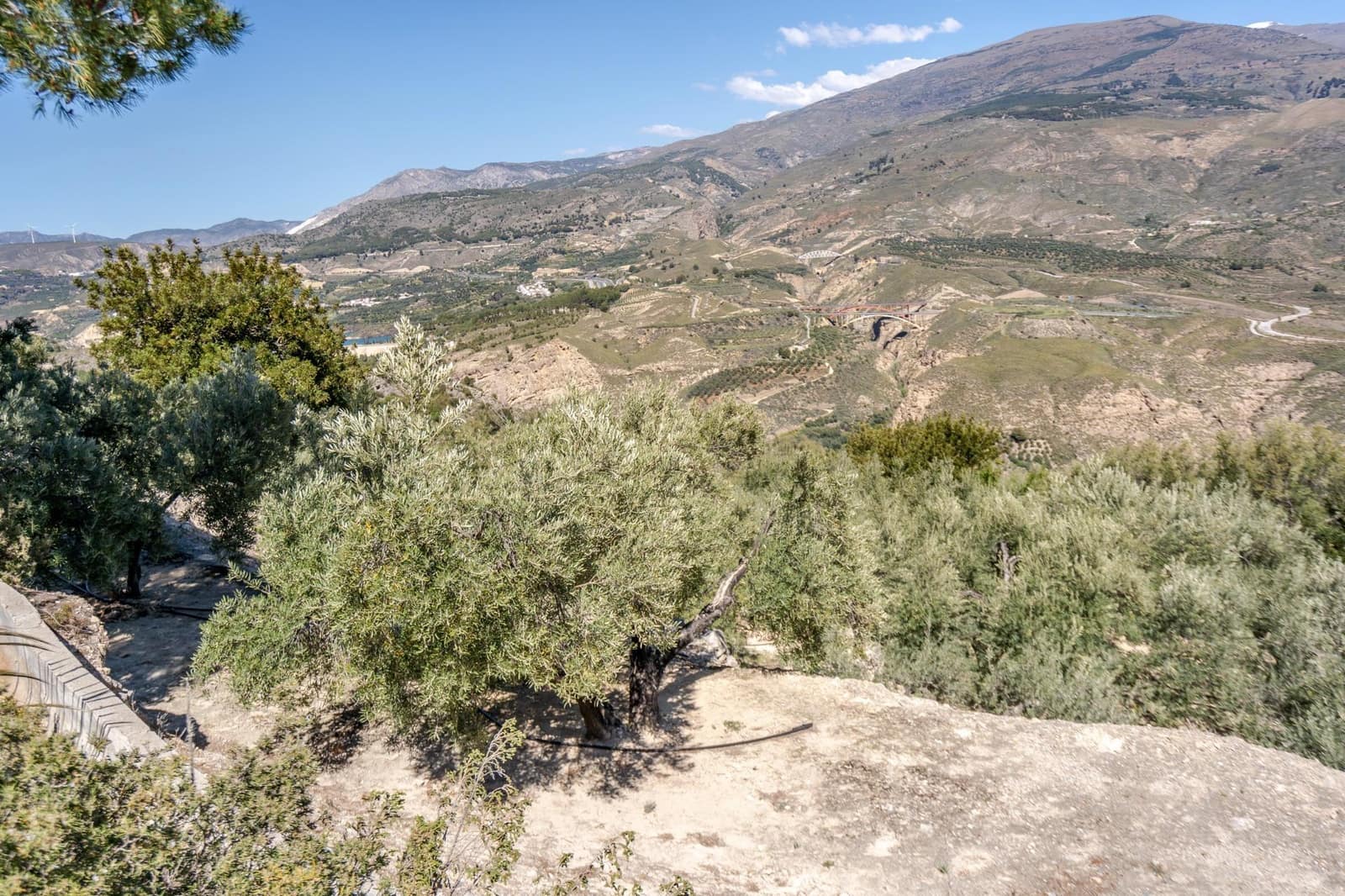 Undeveloped Land for sale in Pinos del Valle - € 30,000 (Ref: 8428730)