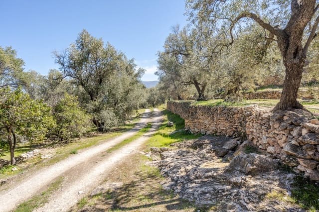 Grunde uden byggetilladelser til salg i Pinos del Valle, El Pinar - € 30.000 (Ref: 8428730)