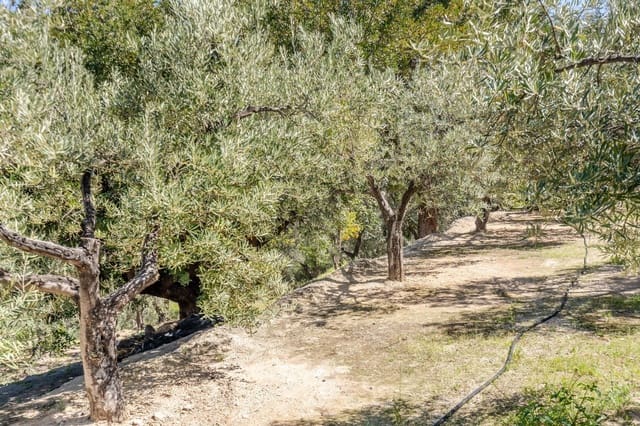 Grunde uden byggetilladelser til salg i Pinos del Valle, El Pinar - € 30.000 (Ref: 8428730)