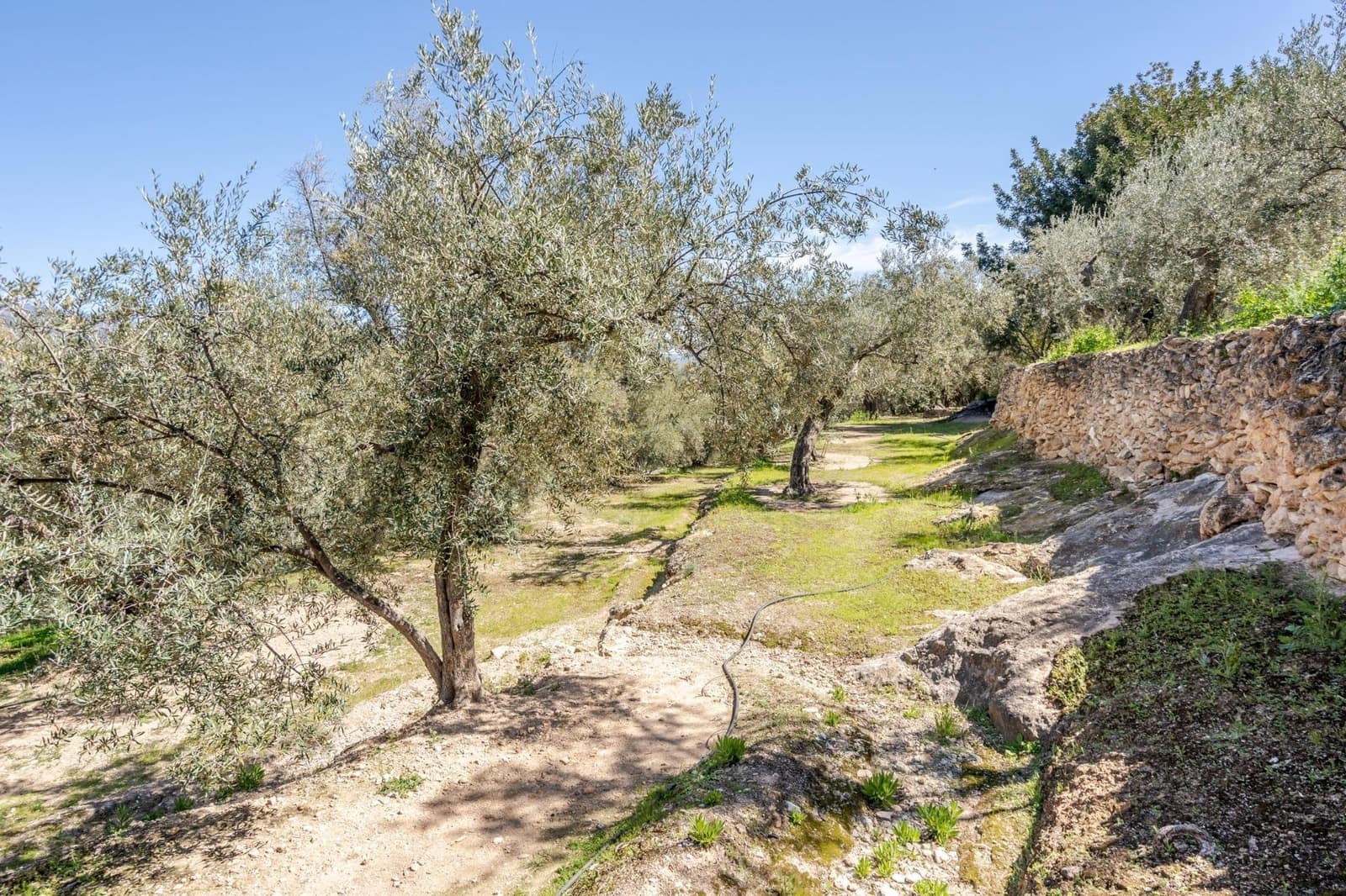 Undeveloped Land for sale in Pinos del Valle - € 30,000 (Ref: 8428730)