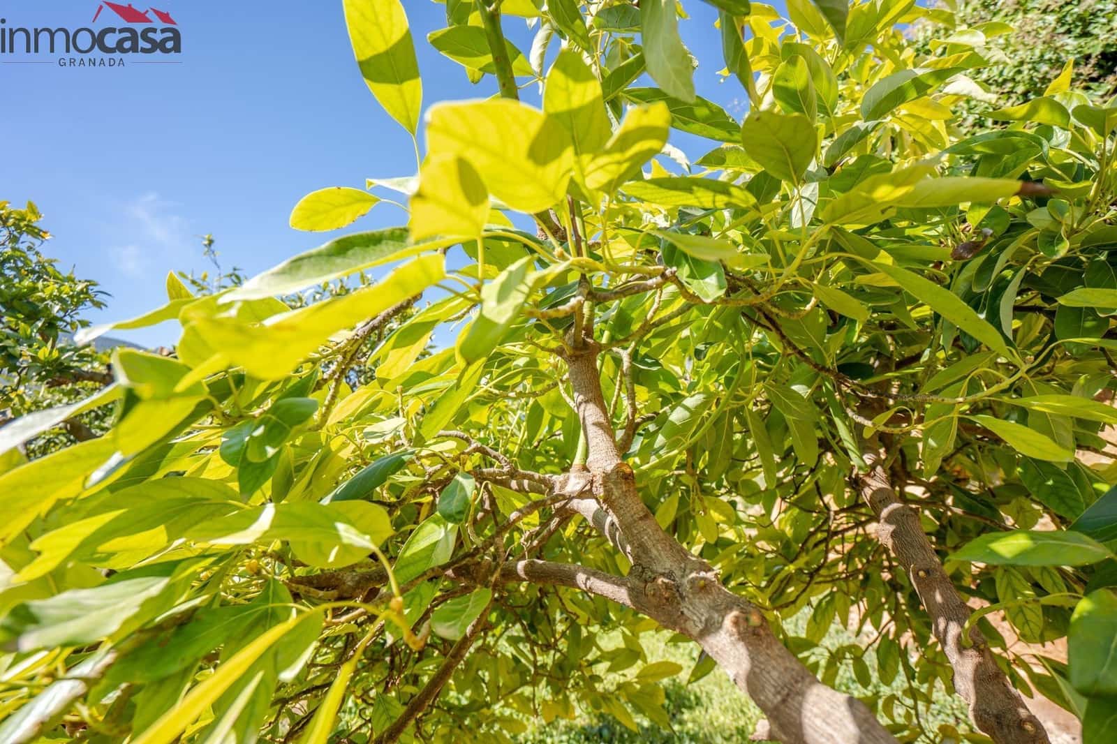 Grond te koop in El Pinar - € 37.000 (Ref: 8428731)