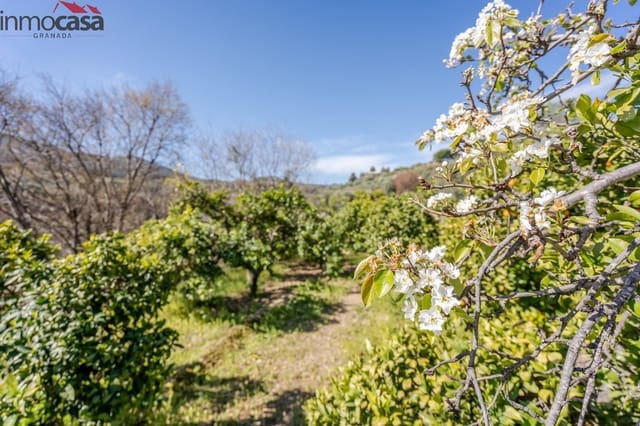 Grond te koop in El Pinar - € 37.000 (Ref: 8428731)