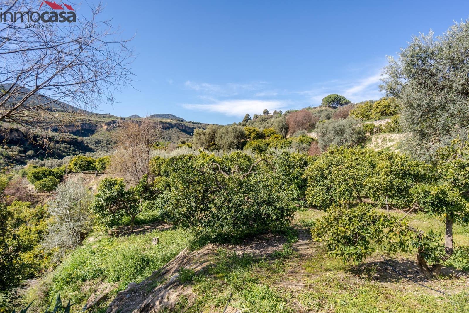 Undeveloped Land for sale in El Pinar - € 25,000 (Ref: 8428731)
