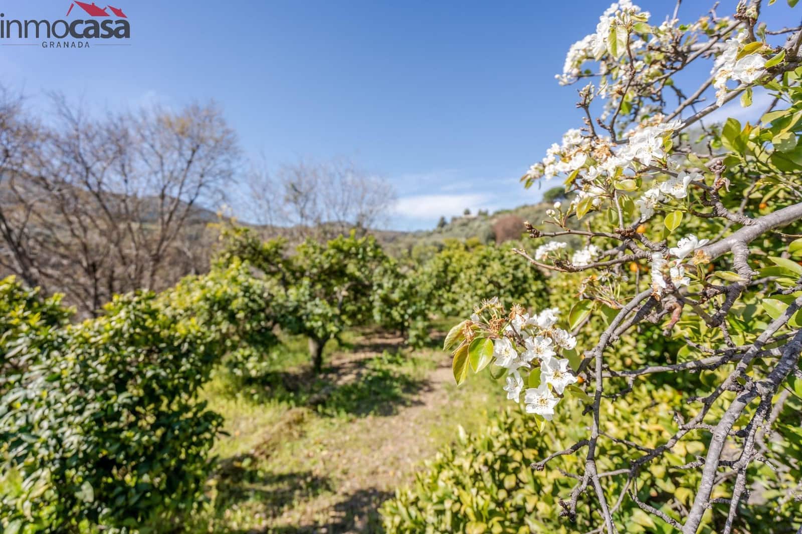 Undeveloped Land for sale in El Pinar - € 25,000 (Ref: 8428731)