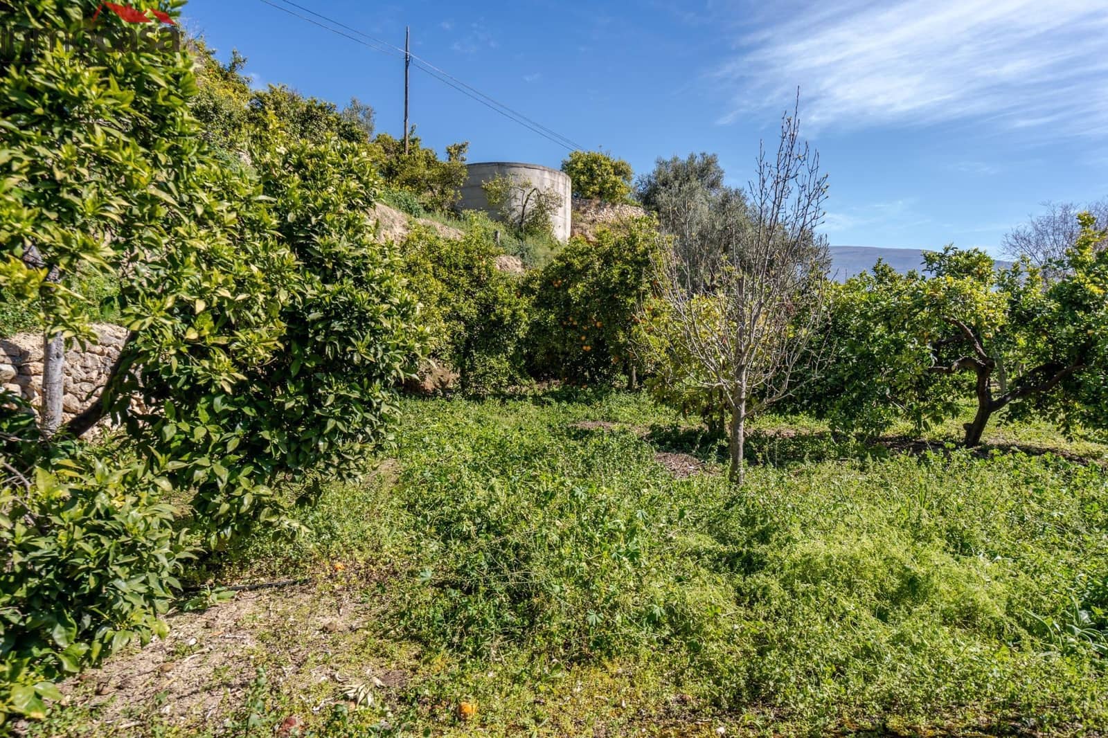 Undeveloped Land for sale in El Pinar - € 25,000 (Ref: 8428731)