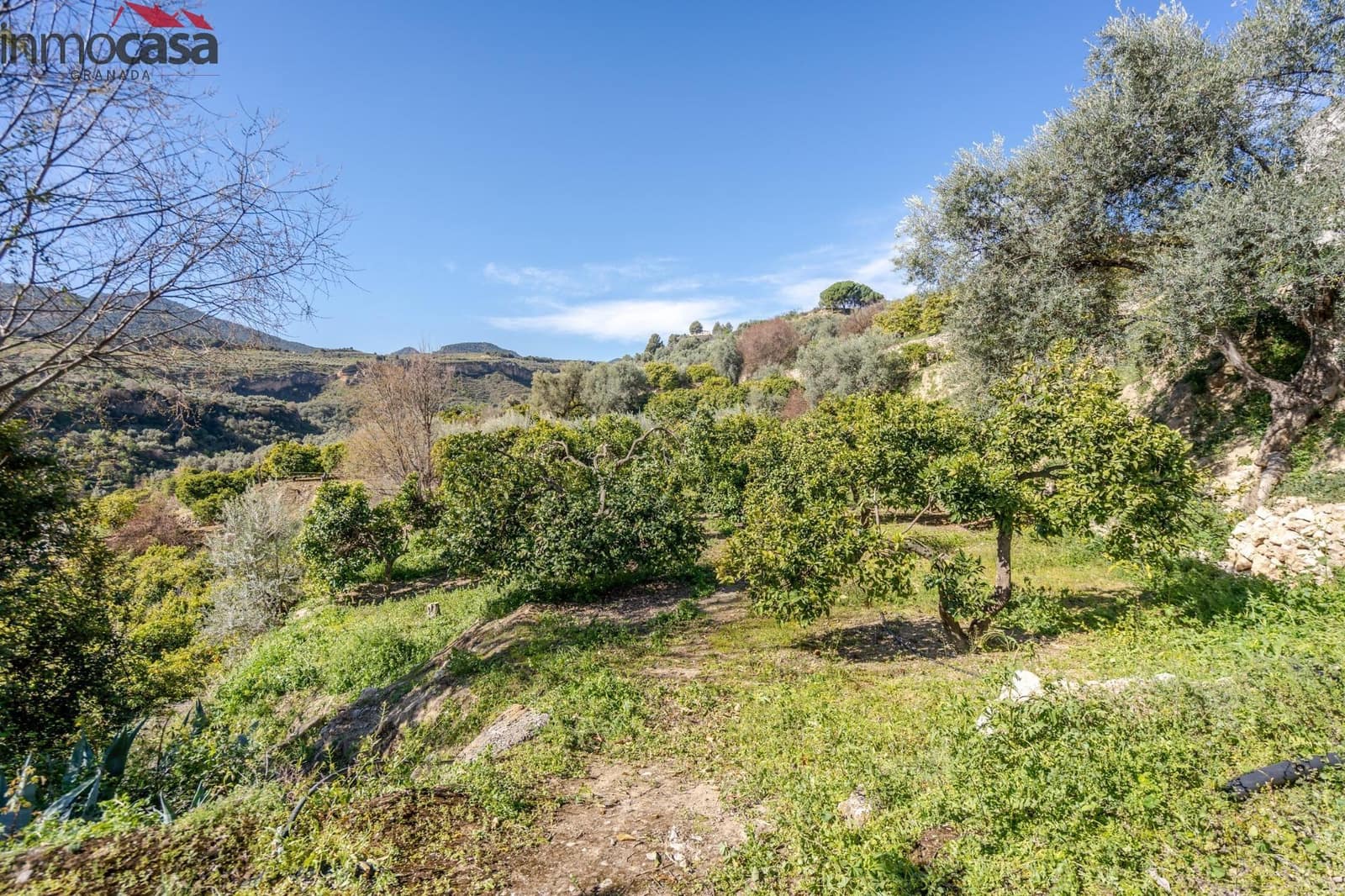 Undeveloped Land for sale in El Pinar - € 25,000 (Ref: 8428731)