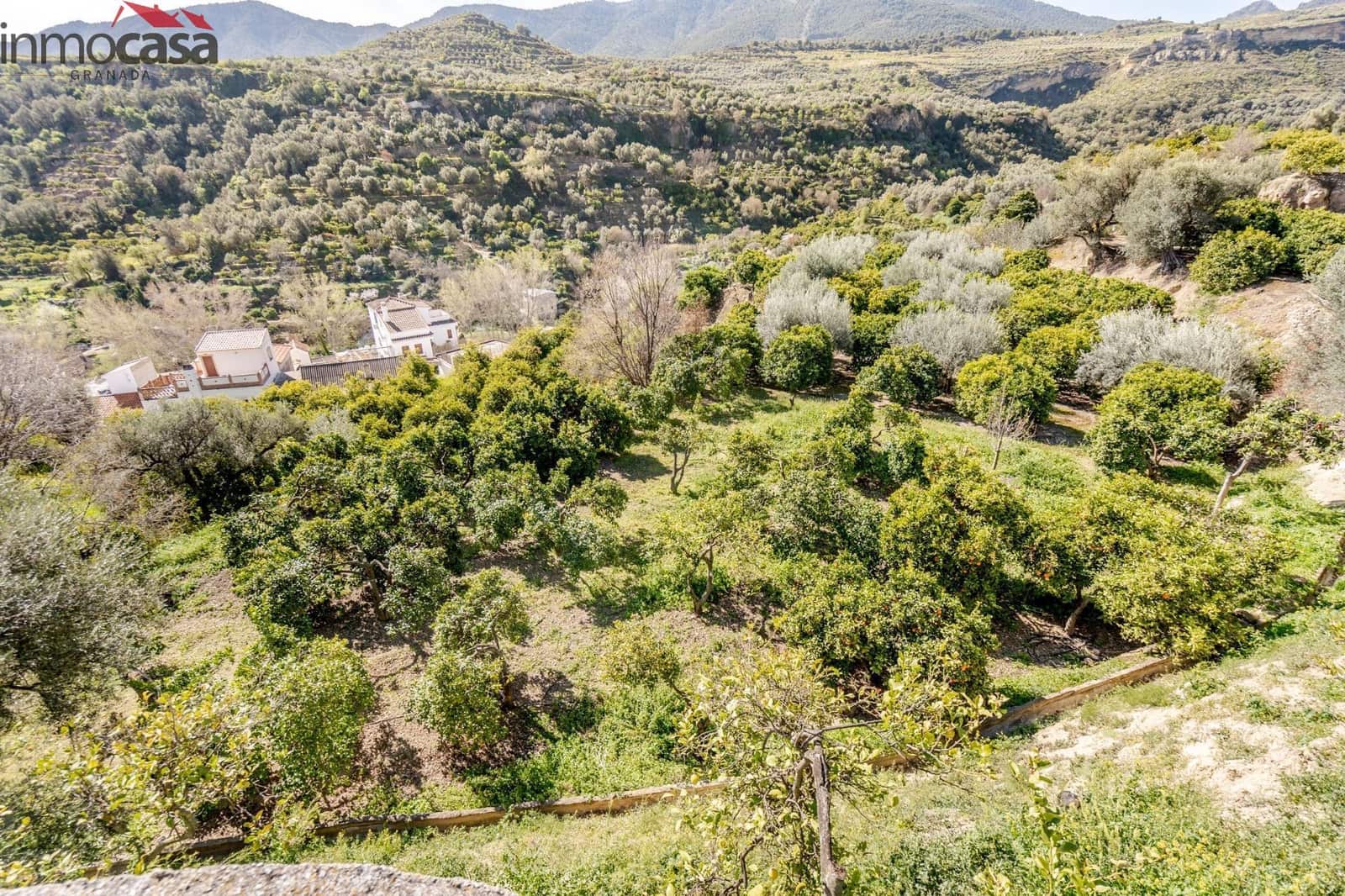 Undeveloped Land for sale in El Pinar - € 25,000 (Ref: 8428731)
